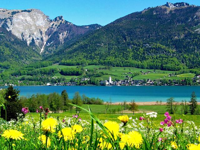 Haus Zimmermann Hotel Sankt Wolfgang im Salzkammergut Ngoại thất bức ảnh